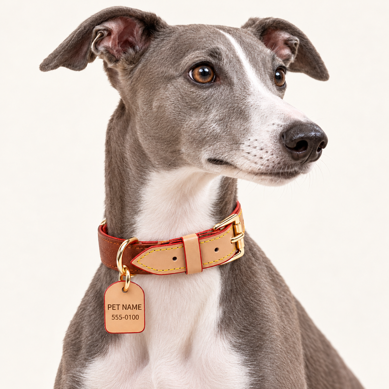 Personalized Two-Tone Leather Dog Collar