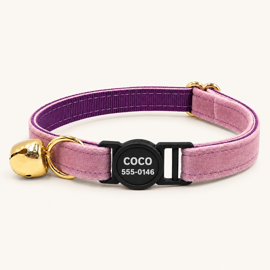 Personalized Breakaway Velvet Cat Collar