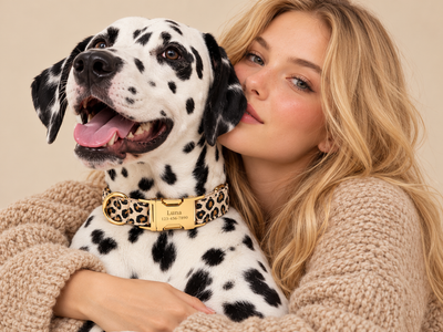 Pawture dog fashion portrait