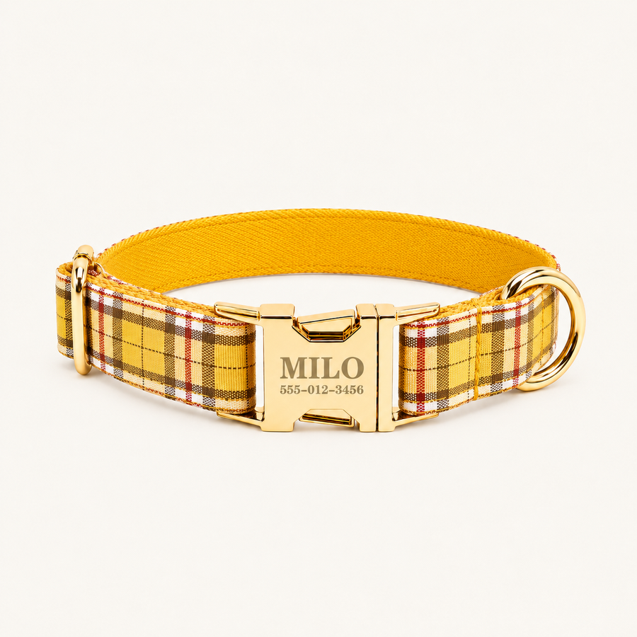 Personalized Plaid Dog Collar