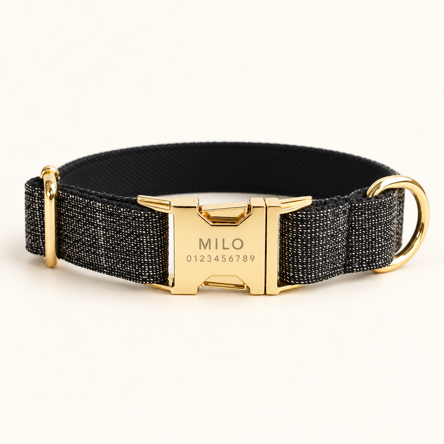 Personalized Suiting Dog Collar