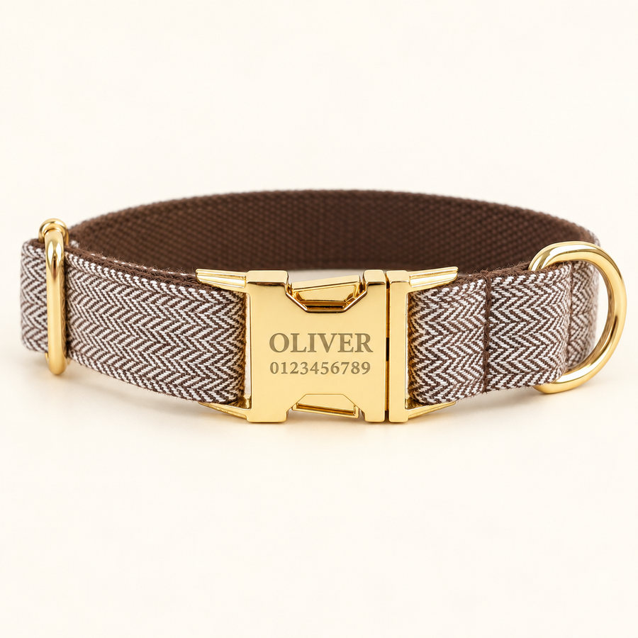 Personalized Suiting Dog Collar