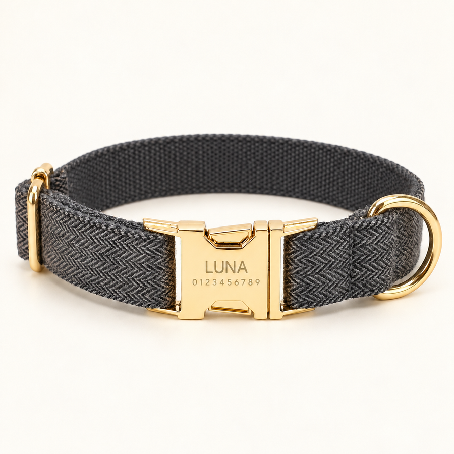Personalized Suiting Dog Collar