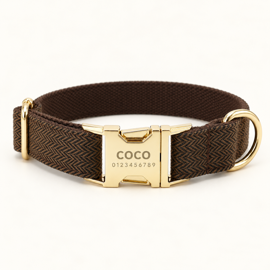 Personalized Suiting Dog Collar