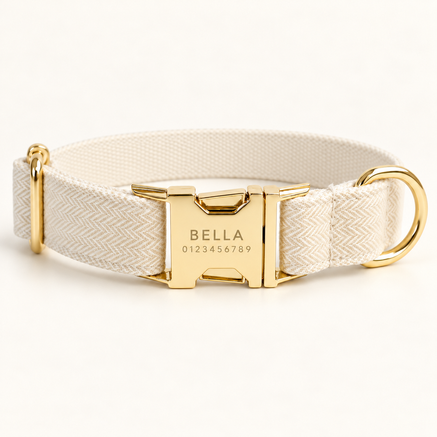 Personalized Suiting Dog Collar