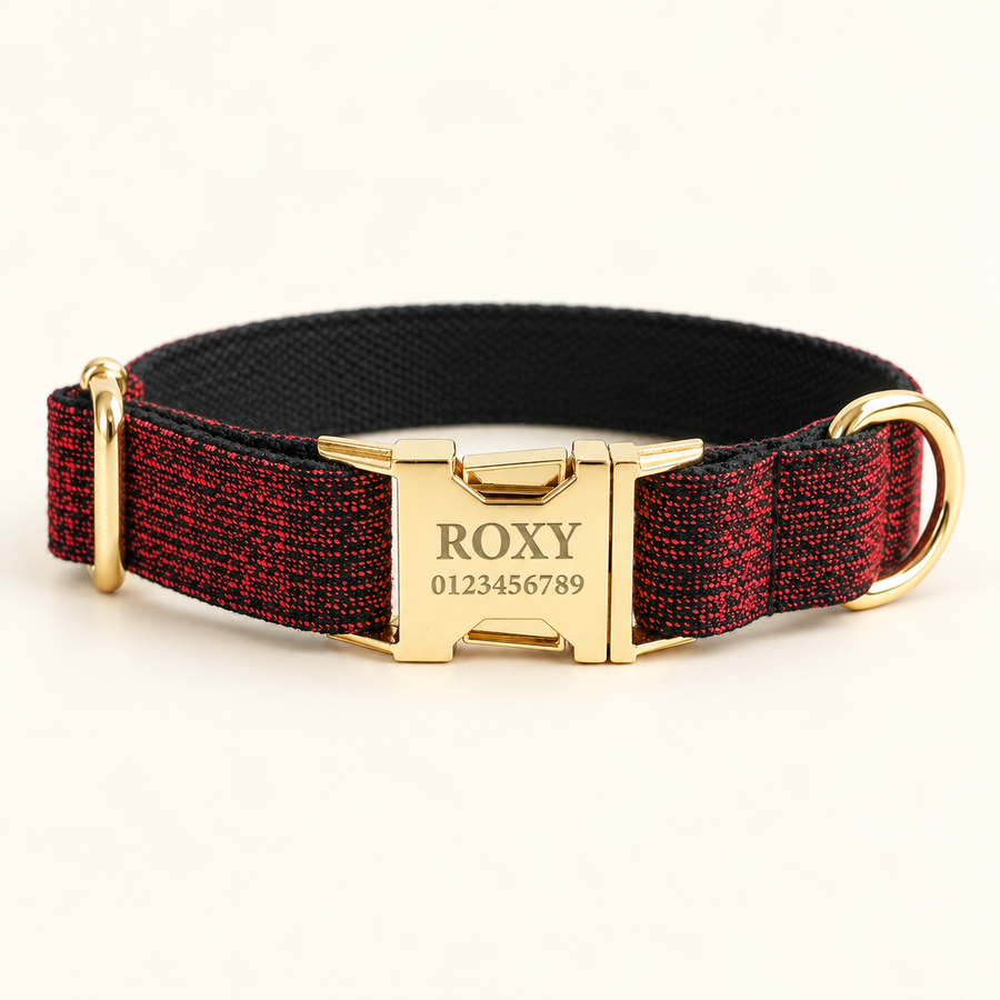 Personalized Suiting Dog Collar
