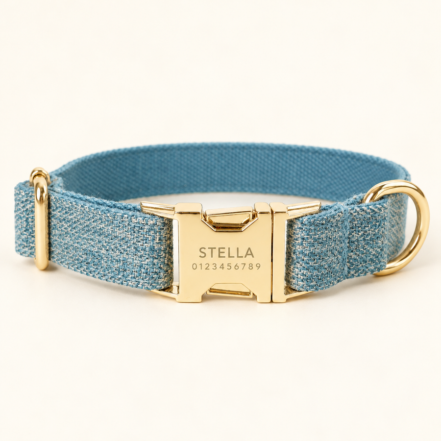 Personalized Suiting Dog Collar