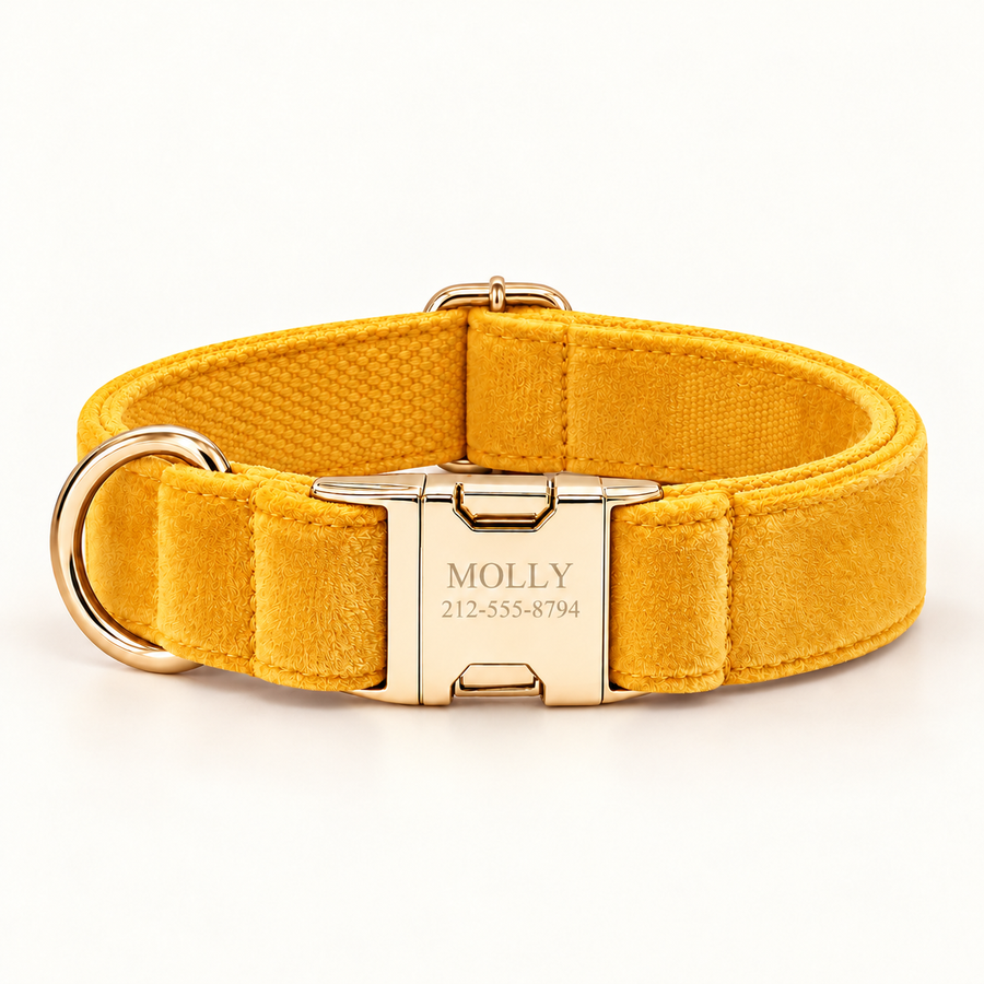 Personalized Velvet Dog Collar