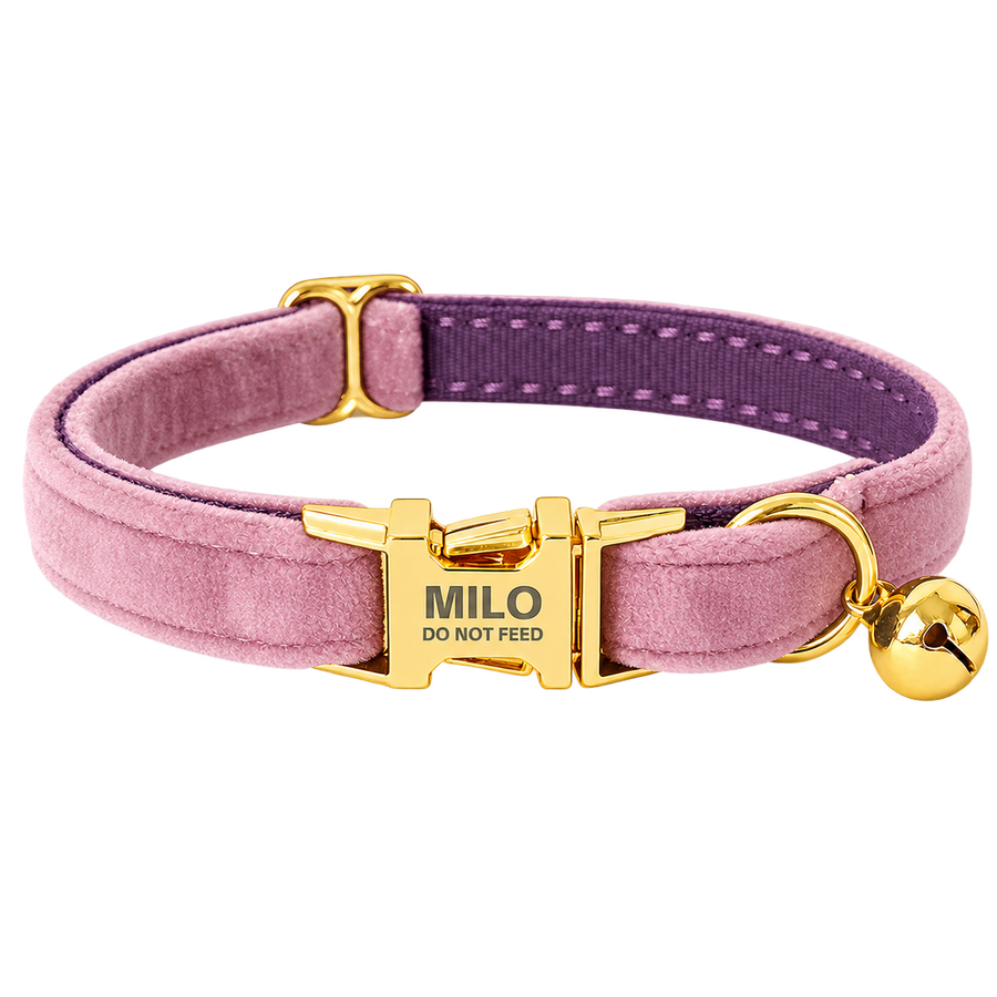 Personalized Velvet Cat Collar with Bell