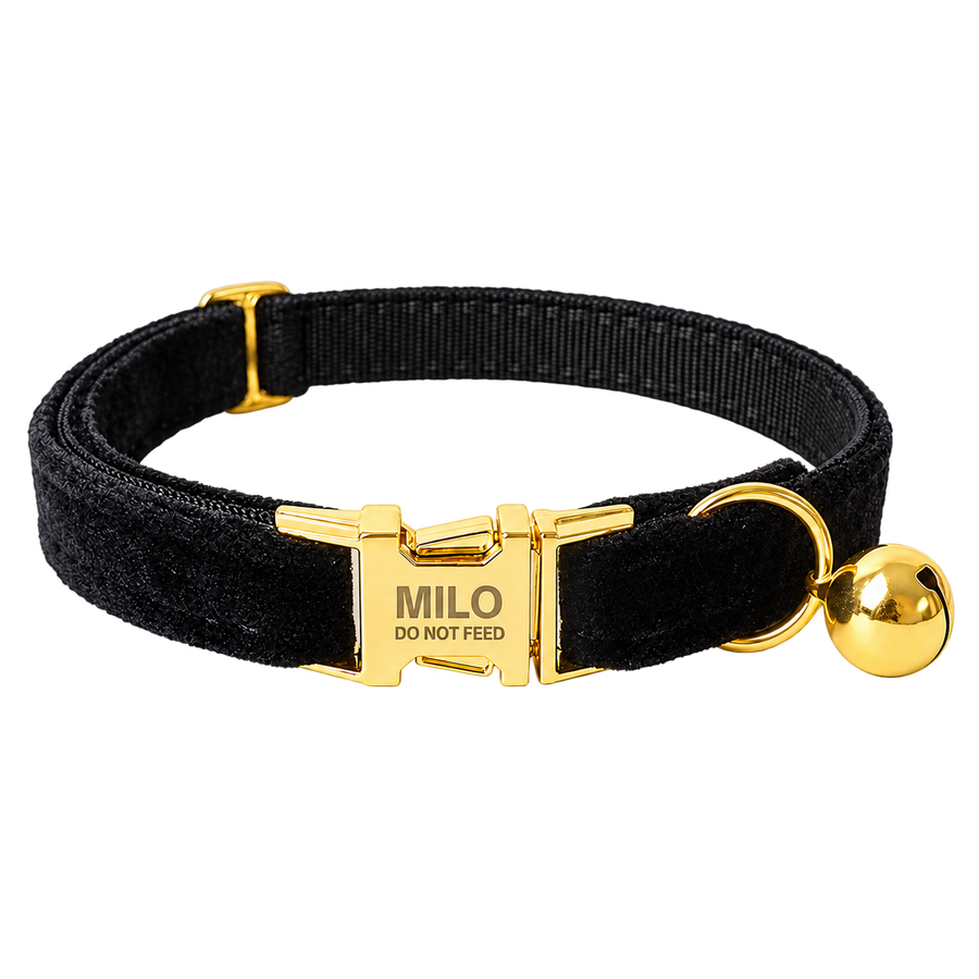 Personalized Velvet Cat Collar with Bell