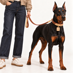 Cognac | gallery-07 | HumanPetStudio | Pawture leather dog collar