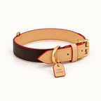 Espresso | gallery-01 | Hero | Pawture leather dog collar