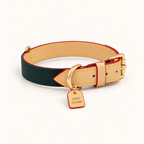 RacingGreen | gallery-01 | Hero | Pawture leather dog collar