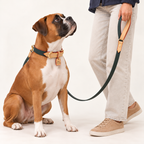 RacingGreen | gallery-07 | HumanPetStudio | Pawture leather dog collar