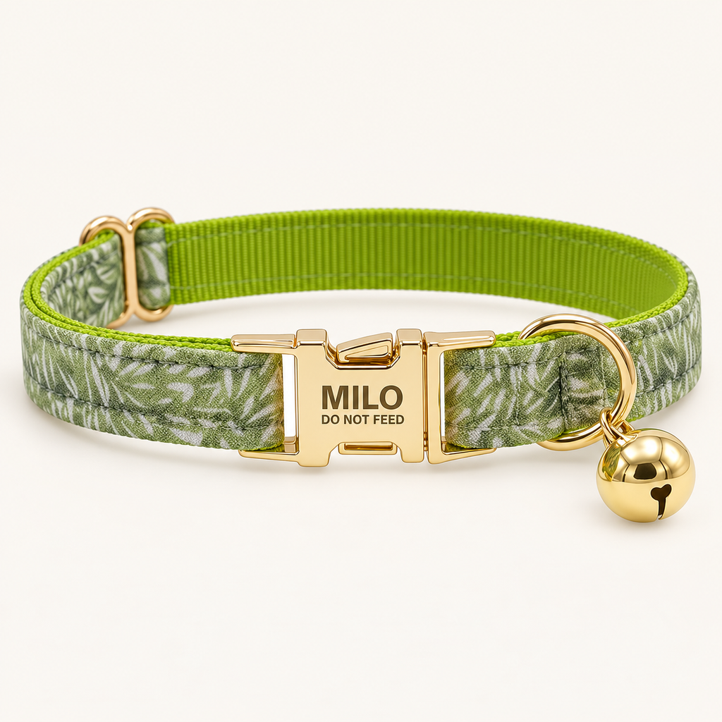 GreenSprout personalized cat collar
