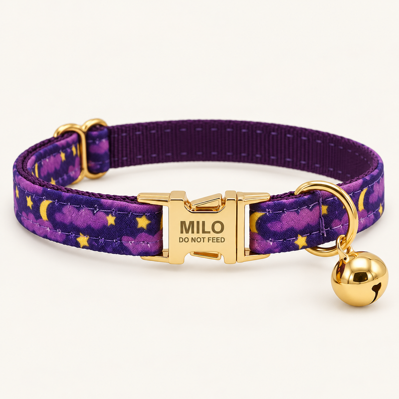 Personalized Artful Prints Cat Collar