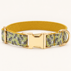 Pawture JungleTrek artful dog collar, flat view