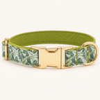 Pawture RainforestTrek artful dog collar, flat view