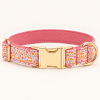 Pawture SpringFruit artful dog collar, flat view