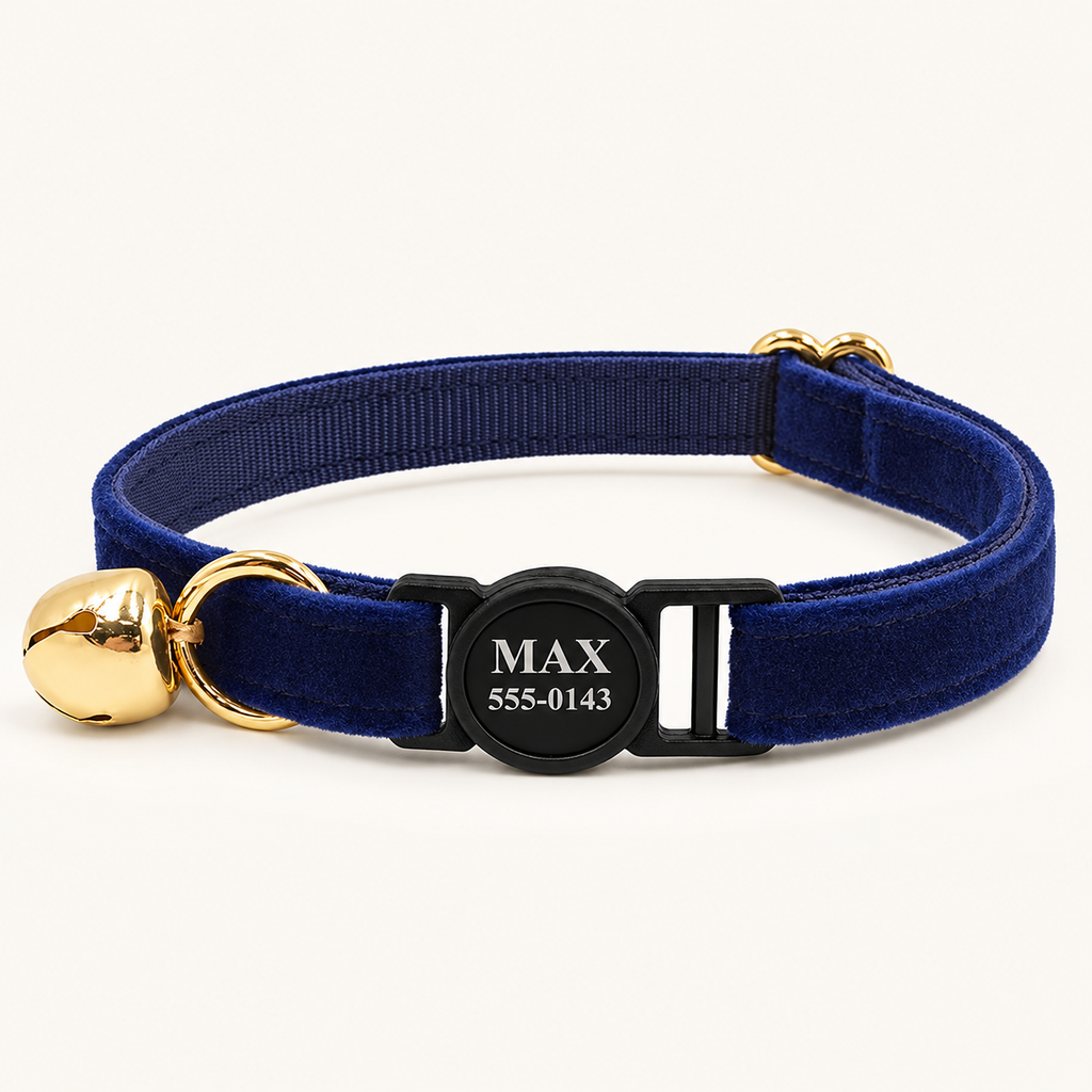 Darkblue velvet cat collar with safety breakaway buckle and bell