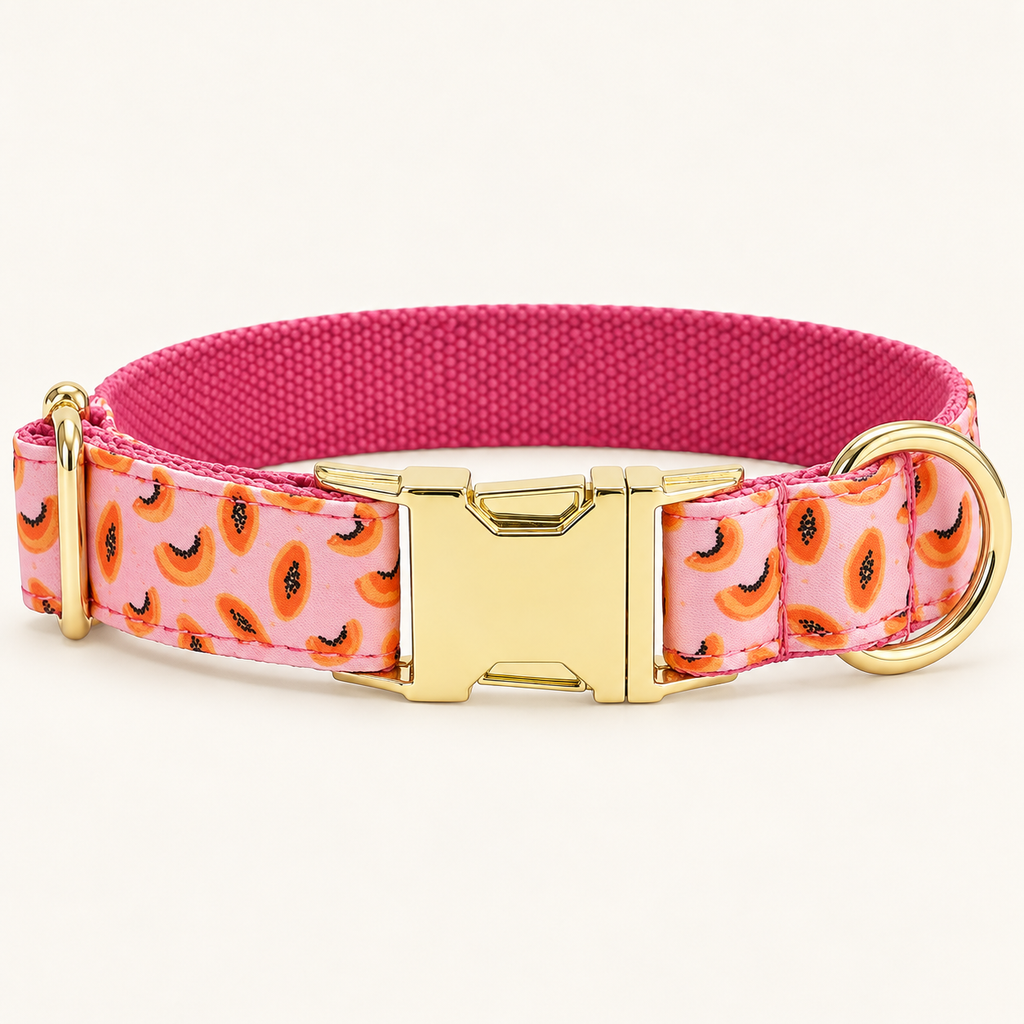 BlushPapaya personalized dog collar, horizontal flat product view