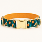 SummerLemon personalized dog collar, horizontal flat product view
