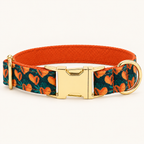 SunlitPapaya personalized dog collar, horizontal flat product view