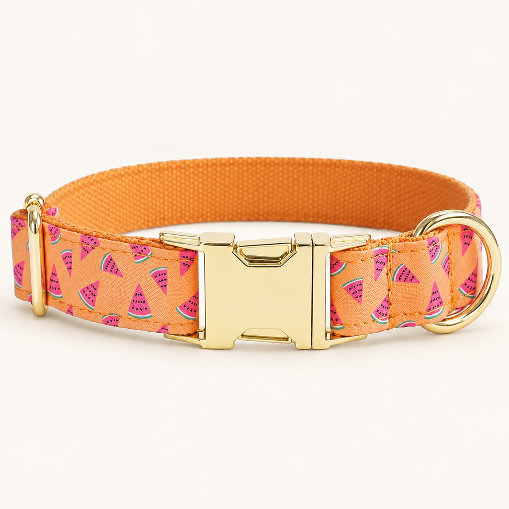 WatermelonOrange personalized dog collar, horizontal flat product view
