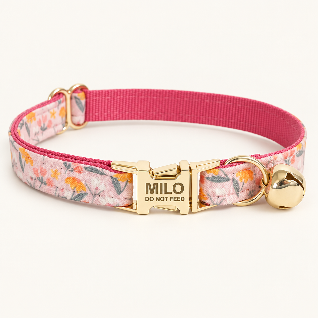 Personalized Floral Cat Collar in Spring Sunshine, flat product view.