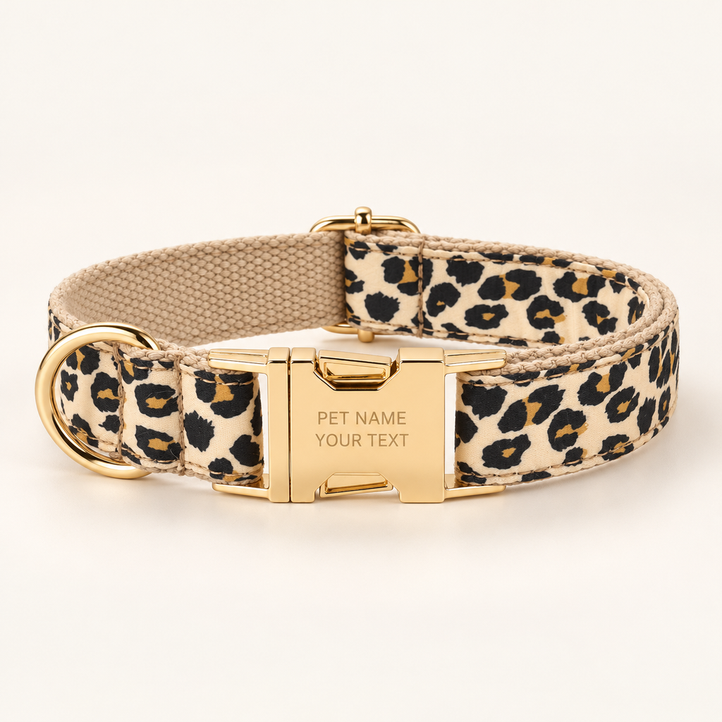 Pawture animal gallery01 LeopardLuxe hero