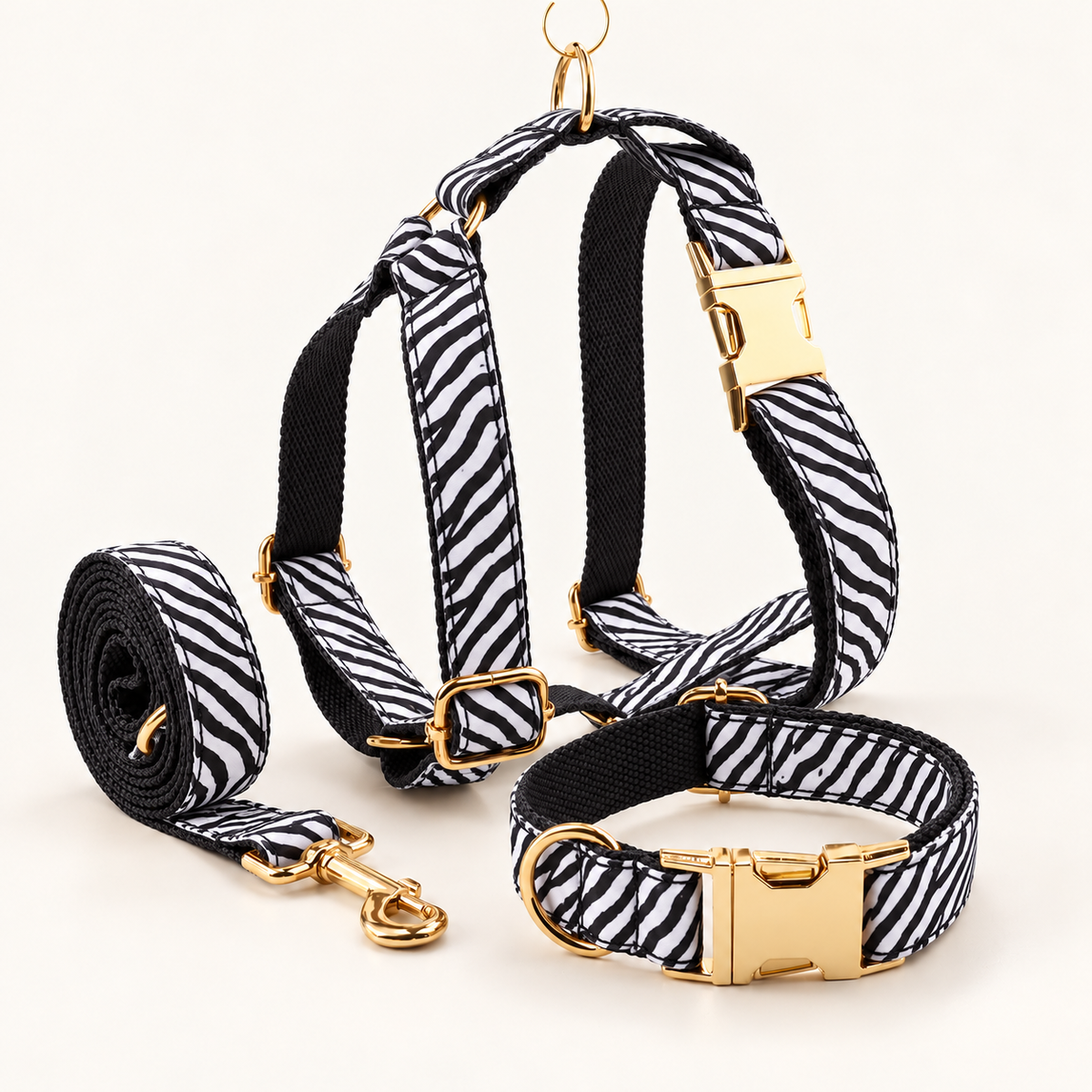 Pawture animal gallery08 Zebrachic studio