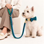 Pawture Classic Plaid BlueAndGreenPlaid 06-human-studio