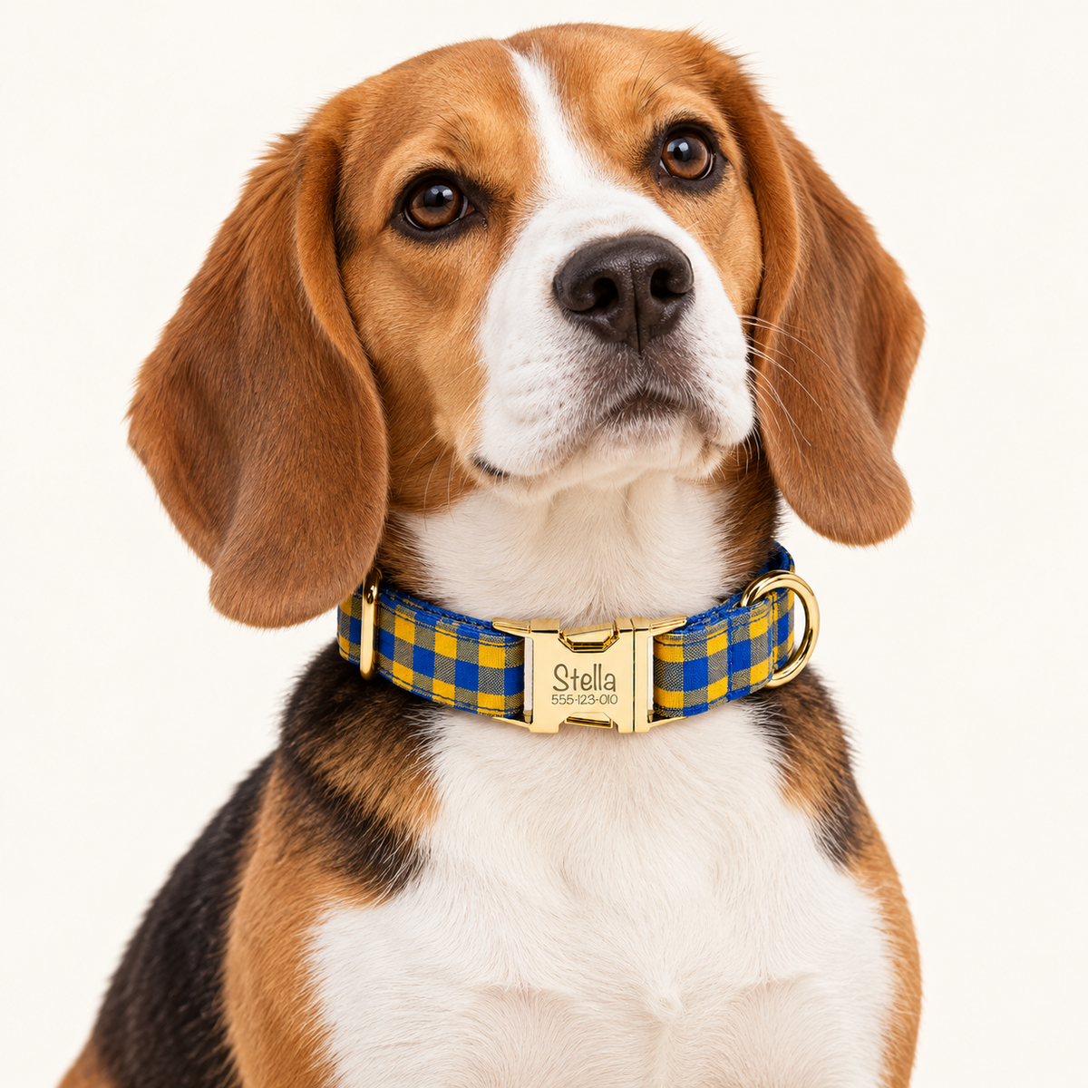Pawture Classic Plaid BlueAndYellowPlaid 02-wearing