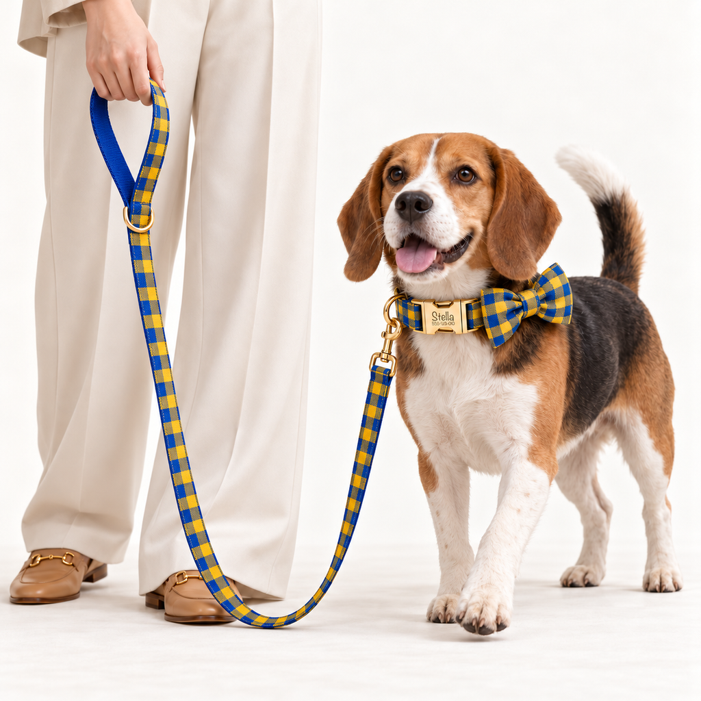 Pawture Classic Plaid BlueAndYellowPlaid 06-human-studio