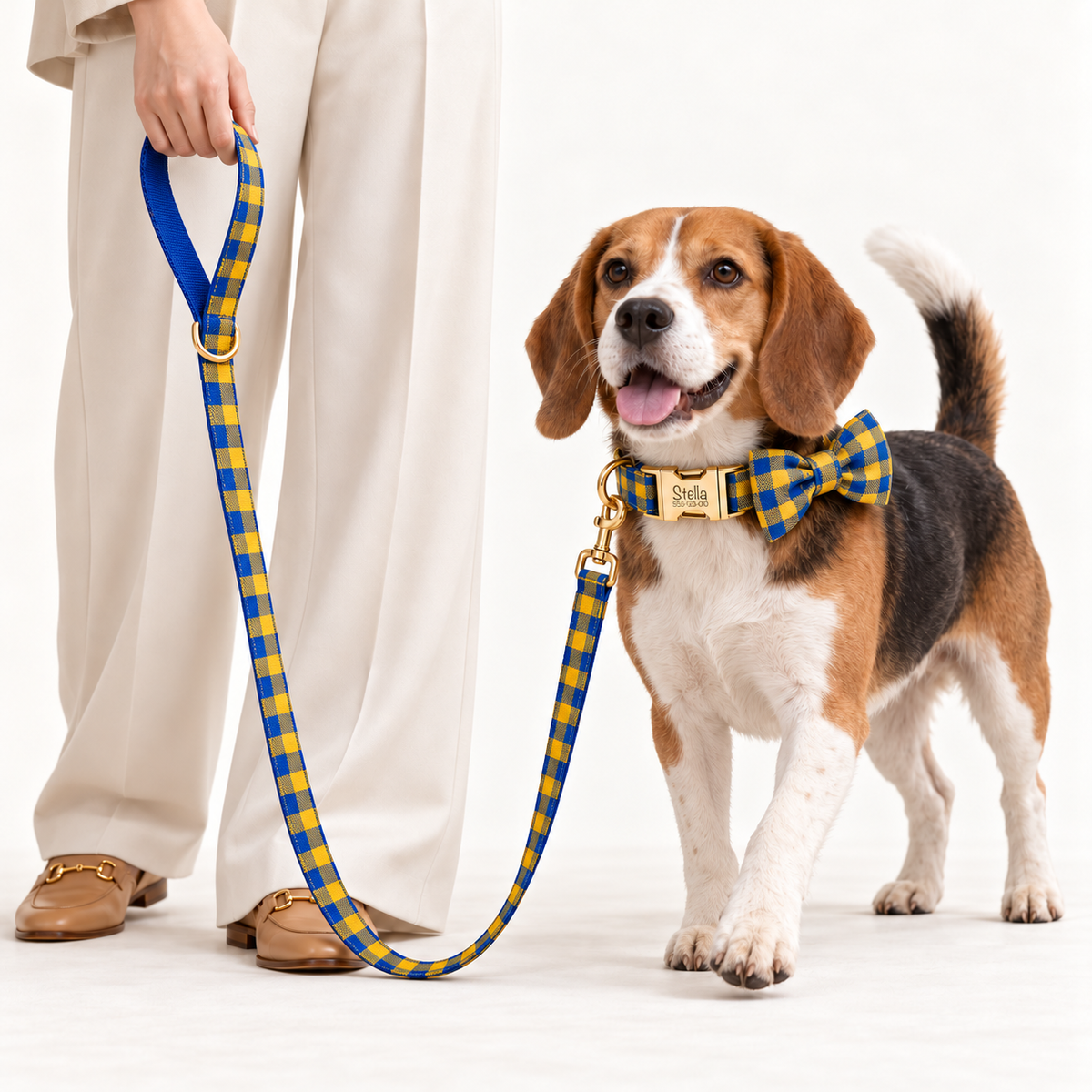 Pawture Classic Plaid BlueAndYellowPlaid 06-human-studio