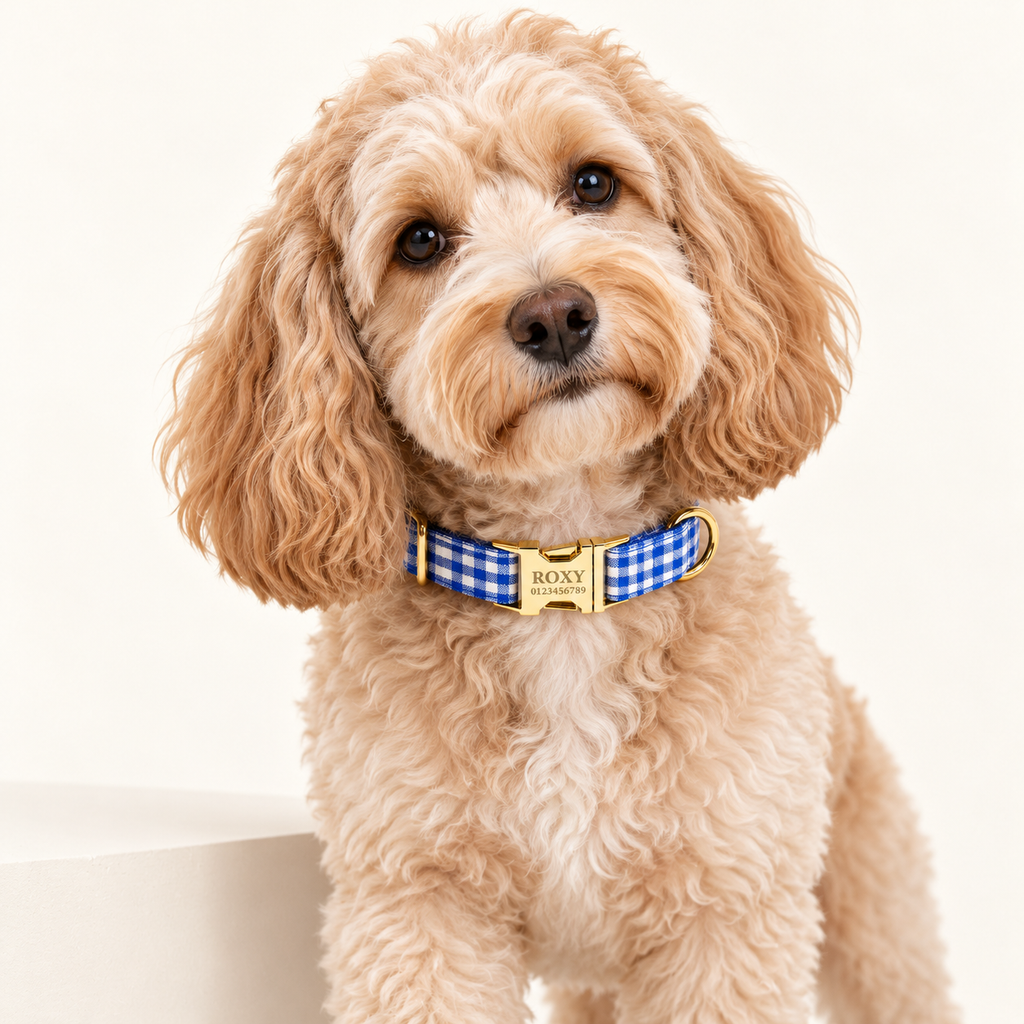 Pawture Classic Plaid BluePicnic 02-wearing