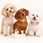 Pawture Classic Plaid CheeseYellowPlaid 04-multi-pet