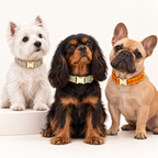 Pawture Classic Plaid GreenMicro 04-multi-pet