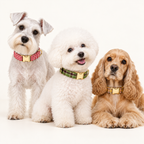 Pawture Classic Plaid GreenPlaid 04-multi-pet