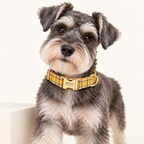 Pawture Classic Plaid LemonYellowPlaid 02-wearing