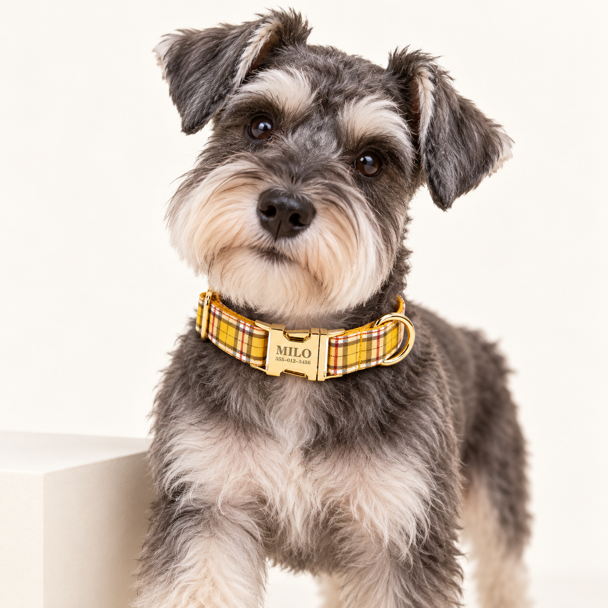 Pawture Classic Plaid LemonYellowPlaid 02-wearing