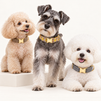 Pawture Classic Plaid LemonYellowPlaid 04-multi-pet