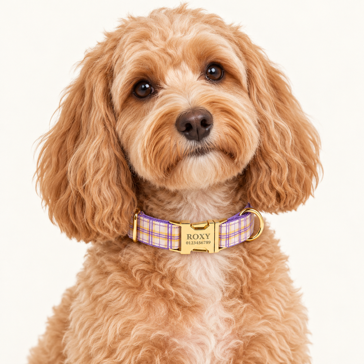 Pawture Classic Plaid PurplePlaid 02-wearing