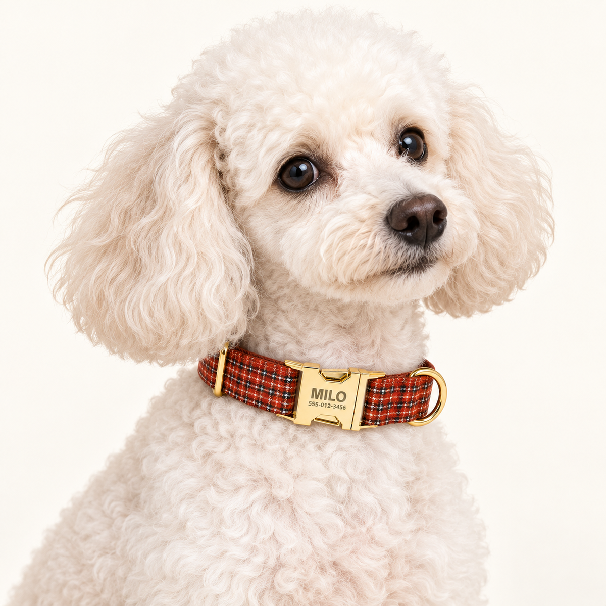 Pawture Classic Plaid RedMicro 02-wearing