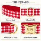 Pawture Classic Plaid RedPicnic 03-details