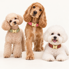 Pawture Classic Plaid RedPicnic 04-multi-pet