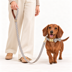 Pawture Classic Plaid WhiteMicro 06-human-studio