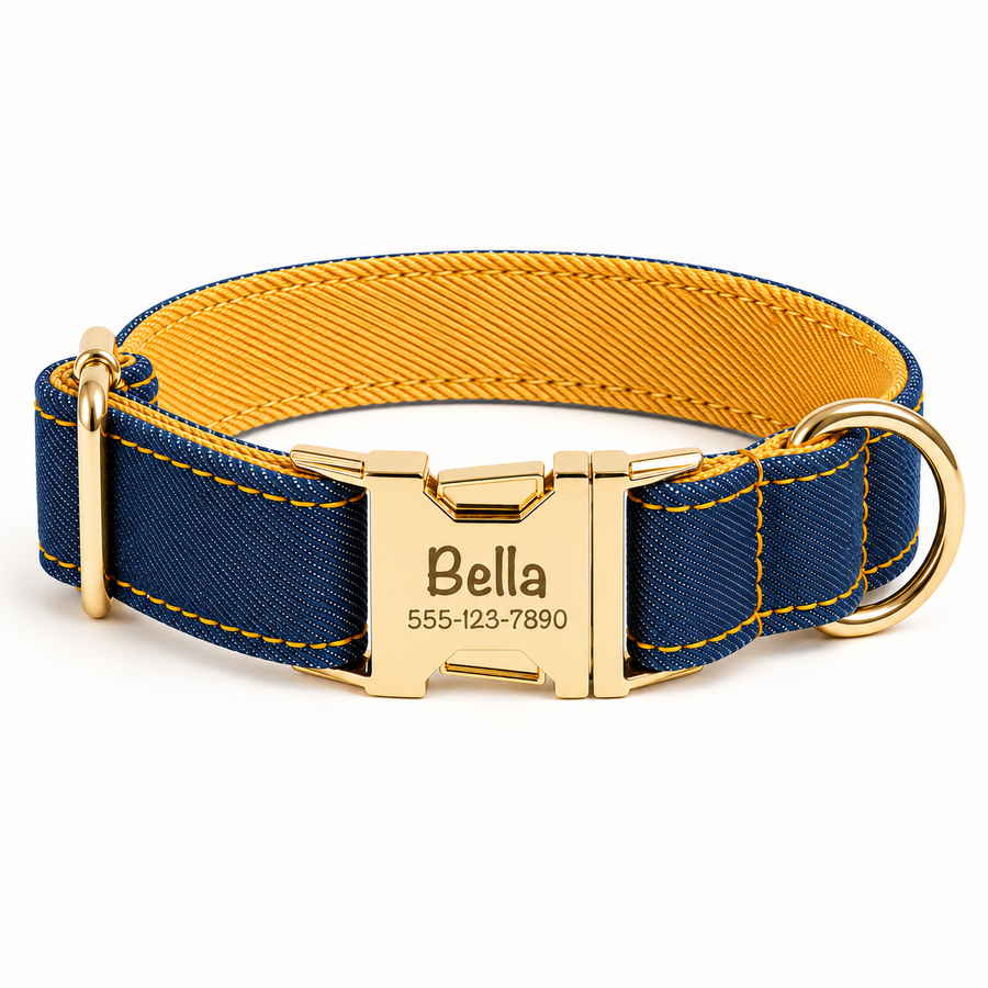 Personalized Denim Dog Collar