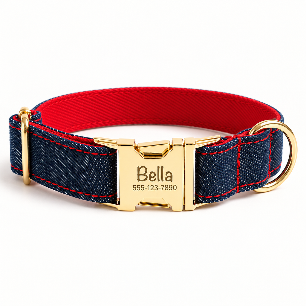 Pawture denim gallery01 PetroRed hero