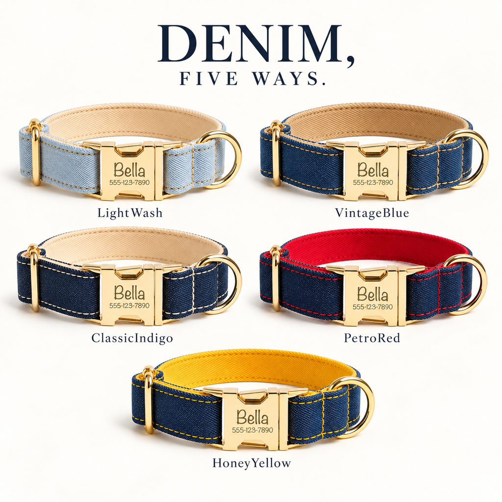 Pawture denim gallery04 Shared colors